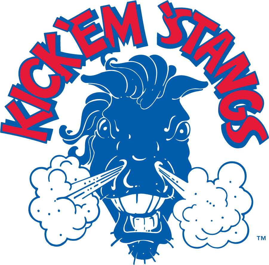 Southern Methodist Mustangs 1992-2007 Secondary Logo diy iron on heat transfer